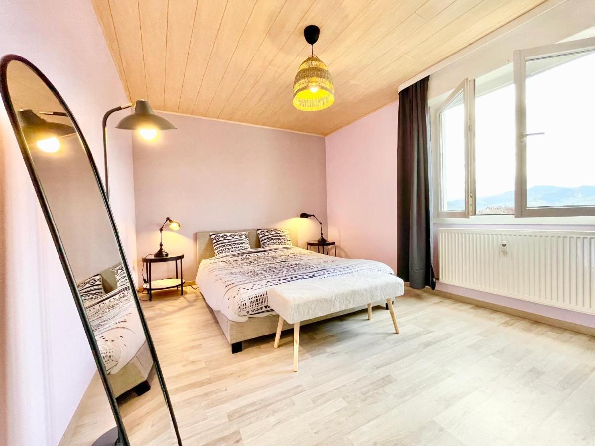 Apartamento Colmar - La Cigogne - Balcon - Vue Degagee - Netflix - Wifi Fibre - Parking Gratuit - Quartier Populaire Exterior foto
